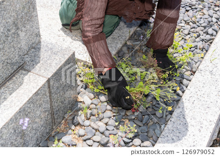 Senior woman weeding a grave 126979052