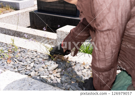 Senior woman weeding a grave 126979057