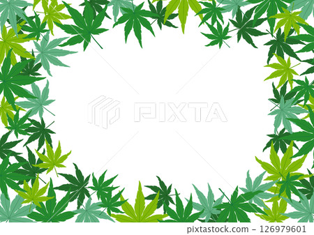 青楓框架材質-青紅葉 126979601