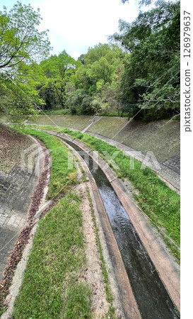 Outdoor catchwater , aqueduct construction, green grass, trees in Hong Kong Outdoor catchwater , aqueduct construction, green grass, trees in Hong Kong 126979637