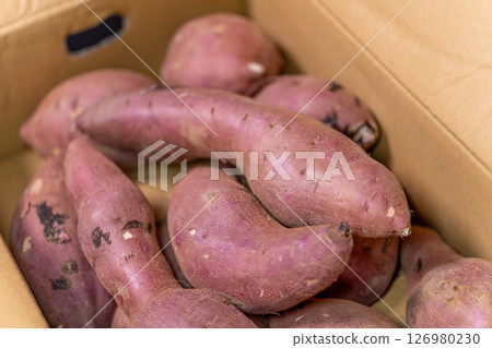 Sweet potato Beni Haruka, the sweet potato with the highest sugar content in Japan, 30% sugar, bought by the box 126980230
