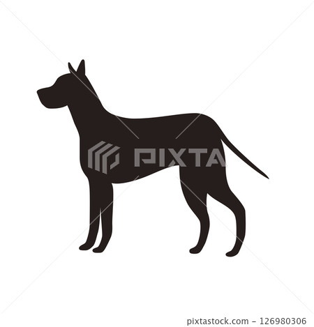 動物杜賓狗剪影簡單插圖 126980306