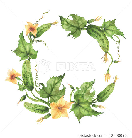 Pickled cucumbers plant circle frame. Green fruit, yellow flower, green leaf, tendril and buds. Fresh vegetables wreath hand drawn watercolor clipart for culinary recipe preservation label. Isolated 126980503