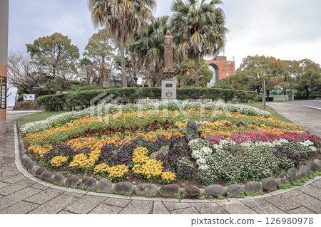 March 28 2025 Flower Bed Adorning a Public Park with Vibrant Blossoms 126980978