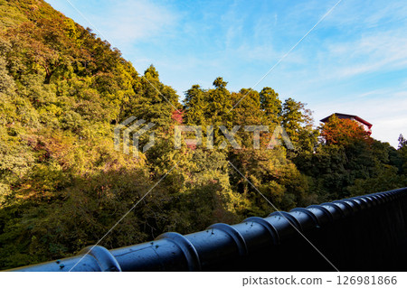 Mountains with autumn leaves in early autumn Mountains with autumn leaves in early autumn 126981866