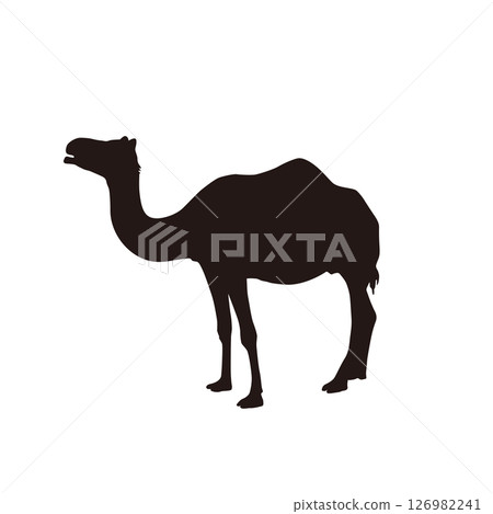 One-humped camel silhouette simple illustration One-humped camel silhouette simple illustration 126982241