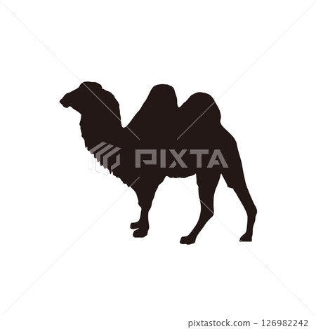 Two-humped camel silhouette simple illustration Two-humped camel silhouette simple illustration 126982242