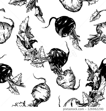 Seamless pattern with kohlrabi. Vector drawing in engraving style. Cabbage background. Round head and leaves of German turnip linear sketch in ink. 126982290