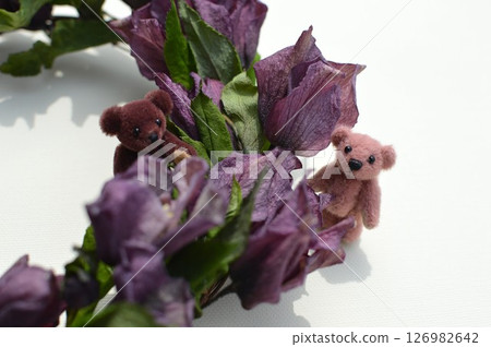 聖誕玫瑰乾燥花環和泰迪熊 聖誕玫瑰乾燥花環和泰迪熊 126982642