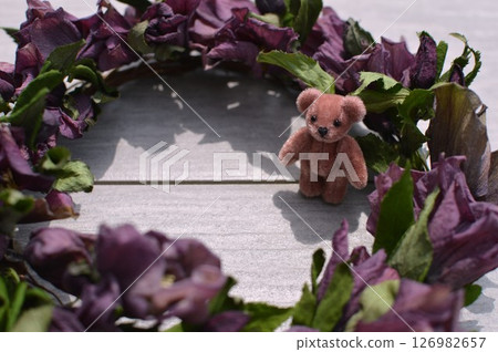 Christmas rose dried flower wreath and teddy bear Christmas rose dried flower wreath and teddy bear 126982657