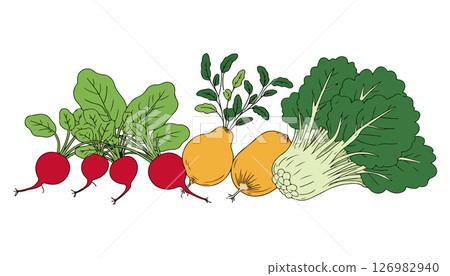 Radishes, Golden Beets, and Bok Choy 126982940