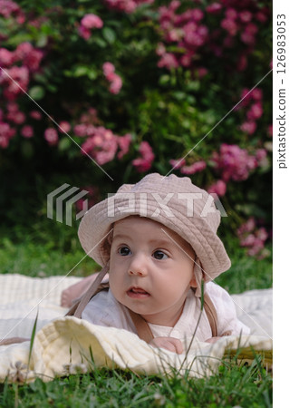 Child Lying on Blanket Surrounded by Pink Flowers 126983053