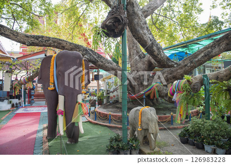 THAILAND RAYONG WAT LUM MAHACHAI CHUMPHON 126983228