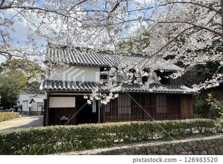 紀伊風土記之丘與舊柳川家邸 紀伊風土記之丘與舊柳川家邸 126983520