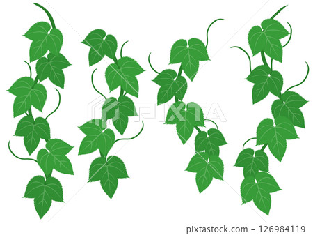 Set of green ivy illustrations 126984119