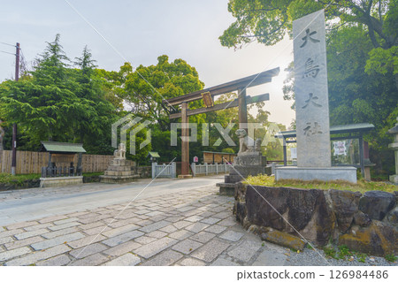 沐浴朝陽的泉國一宮大鳥大社西大鳥居（大阪府堺市西區大鳥北町） 126984486