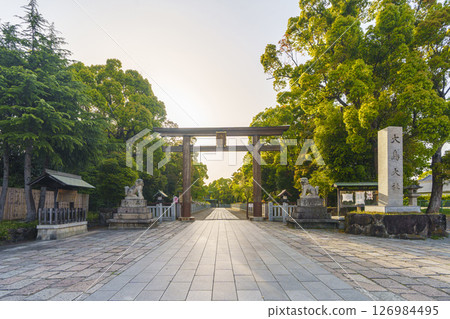 沐浴朝陽的泉國一宮大鳥大社西大鳥居（大阪府堺市西區大鳥北町） 126984495