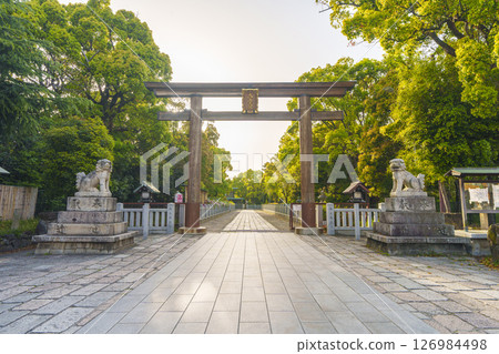 Izumikuni Ichinomiya Ootori Taisha Shrine in the morning sun West Otorii (Otorikita-cho, Nishi-ku, Sakai-shi, Osaka) Izumikuni Ichinomiya Ootori Taisha Shrine in the morning sun West Otorii (Otorikita-cho, Nishi-ku, Sakai-shi, Osaka) 126984498