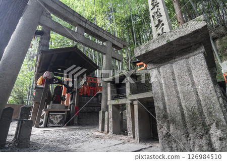 Fushimi Inari Taisha Shinike Tsutsumi A large number of shrines and mounds 126984510