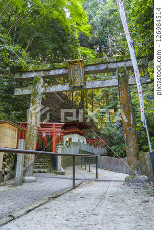 狸谷山不動院入口的鳥居（京都市左京區一乘寺） 126984514