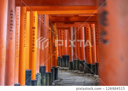 京都伏見稻荷大社 數千座鳥居 126984515