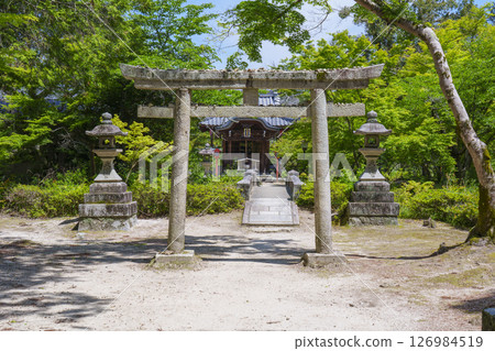 萬修院天滿宮石牌坊新綠季節(京都市左京區一乘寺) 萬修院天滿宮石牌坊新綠季節(京都市左京區一乘寺) 126984519
