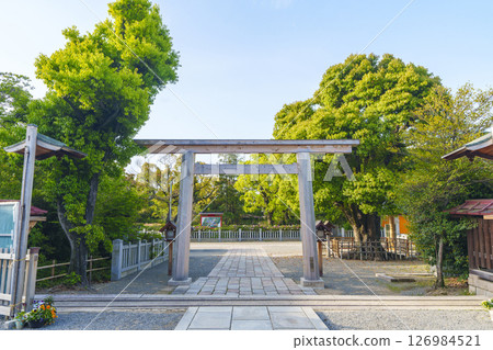 Izumikuni Ichinomiya Otori Taisha Torii Gate in front of the Worship Hall (Otorikita-cho, Nishi-ku, Sakai-shi, Osaka) Izumikuni Ichinomiya Otori Taisha Torii Gate in front of the Worship Hall (Otorikita-cho, Nishi-ku, Sakai-shi, Osaka) 126984521