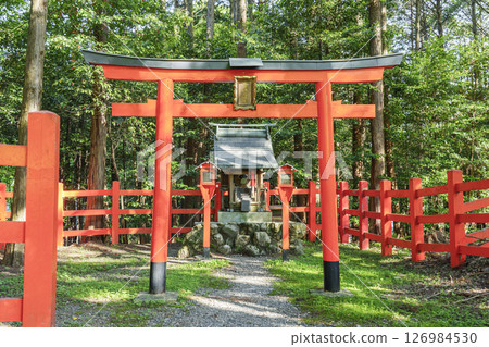 綠樹環繞的常盤稻荷神社（京都府京都市左京區一乘寺） 126984530