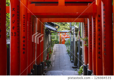 Kyoto, Fushimi Inari Taisha Shrine, Senbon Torii, from Mitsutsuji to Yotsutsuji 126984535