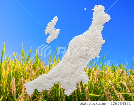 A map of Niigata Prefecture made from rice 126984551