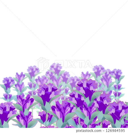 Gentian Gentian 126984595