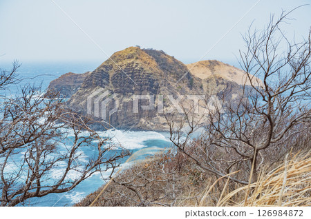 Sado Nittsukumi Sado Nittsukumi 126984872