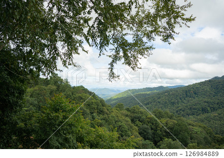 mountain and tropical forest with cloudy sky in raining season 126984889