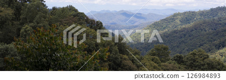 mountain and tropical forest with cloudy sky in raining season mountain and tropical forest with cloudy sky in raining season 126984893