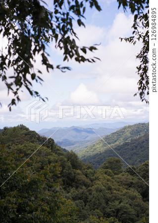 mountain and tropical forest with cloudy sky in raining season 126984895