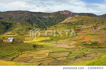 Typical Madagascar landscape - green and yellow rice terrace fields on small hills with clay houses in Andringitra region near Sendrisoa 126984933