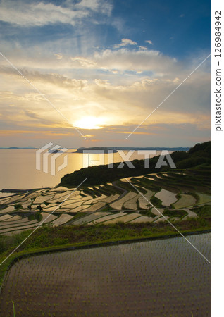 長崎縣松浦市土谷的梯田 長崎縣松浦市土谷的梯田 126984942