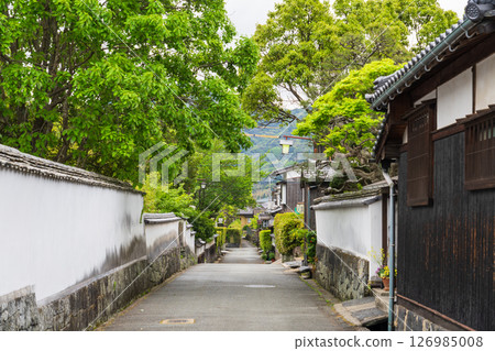 [Yamaguchi Prefecture] Historic streets of Hagi Castle town 126985008