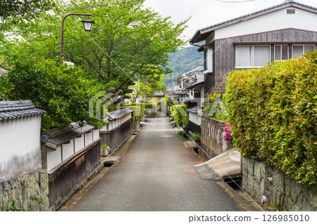 [Yamaguchi Prefecture] Historic streets of Hagi Castle town 126985010