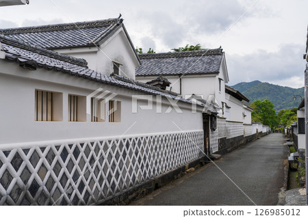 [Yamaguchi Prefecture] Historic streets of Hagi Castle town 126985012