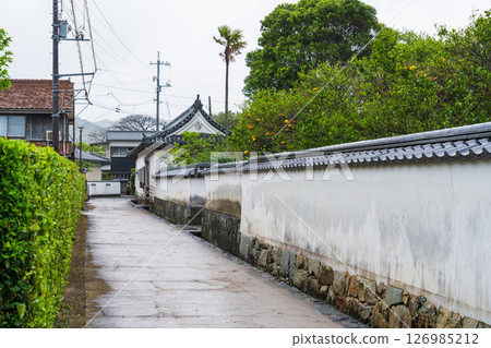 [山口縣] 萩城下町的歷史街道 126985212