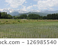 Rice fields after rice planting and snow still remaining on the Hakuba Sanzan mountains 126985540