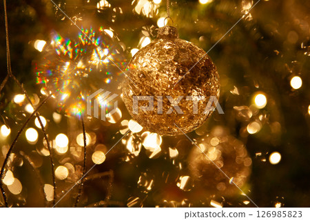 Shining Christmas 126985823