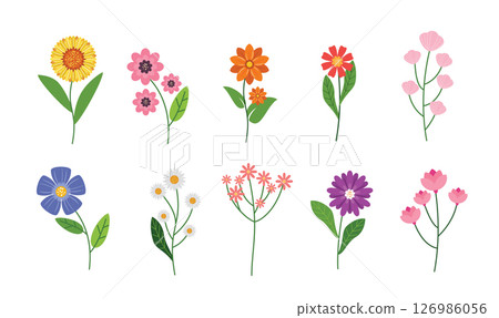 Hand-Drawn Cute Wildflower Set vector illustration 126986056