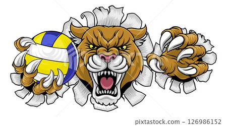 Cougar Panther Lion Puma Cat Volleyball Mascot 126986152