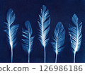Blue Feather Arrangement. Artistic cyanotype of a delicate feathers 126986186