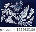 Botanical Cyanotype. Cyanotype print of various fern leaves 126986189