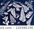 Botanical Cyanotype. White botanical silhouettes on deep blue 126986190