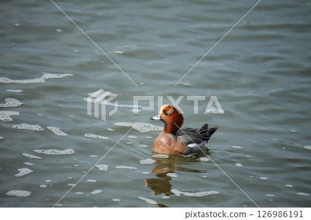 Arao City Port Scenery, 126986191