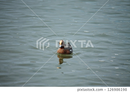 Arao City Port Scenery, 126986198